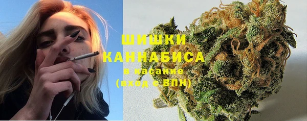 гидра Саяногорск
