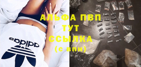 гидра Саяногорск