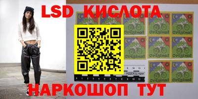 гидра Краснокаменск