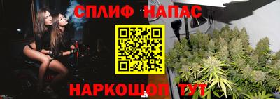 гидра Краснокаменск