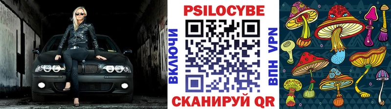 закладки  Кудымкар  Галлюциногенные грибы прущие грибы 