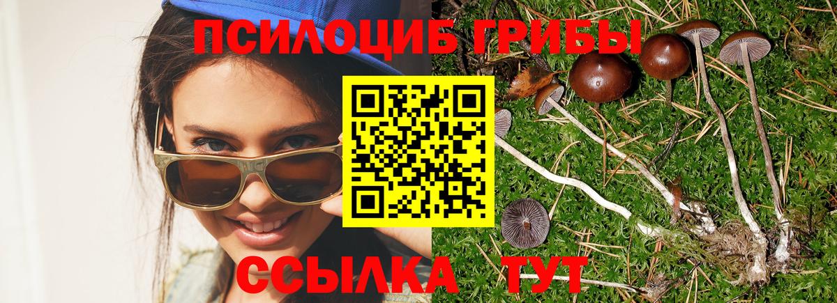 Кудымкар  Псилоцибиновые грибы GOLDEN TEACHER  продажа наркотиков  Вход с VPN 